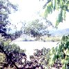 Dak Bla River